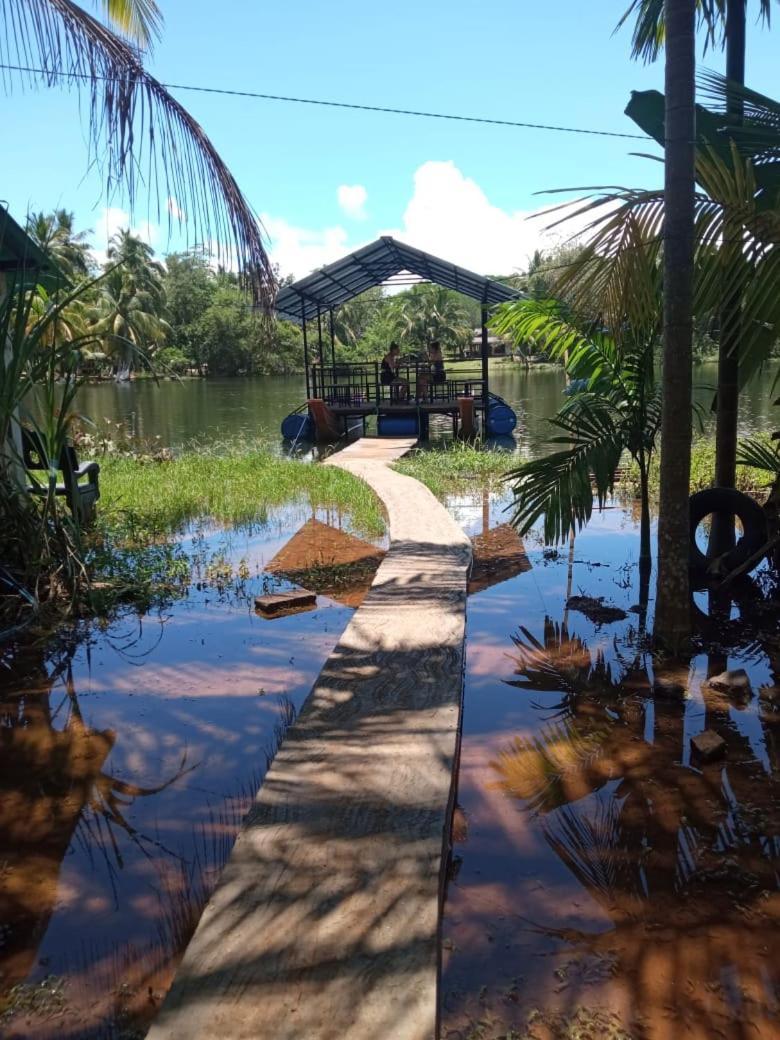 Splendid Lake View Safari Lodge ウダワラウェ エクステリア 写真