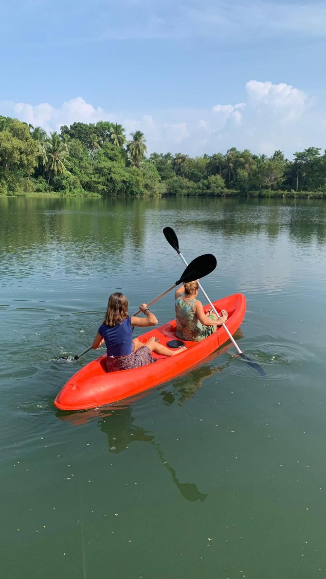 Splendid Lake View Safari Lodge ウダワラウェ エクステリア 写真