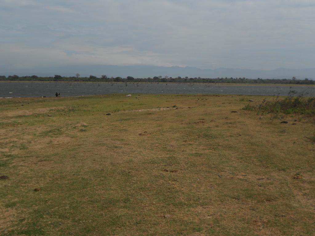 Splendid Lake View Safari Lodge ウダワラウェ エクステリア 写真