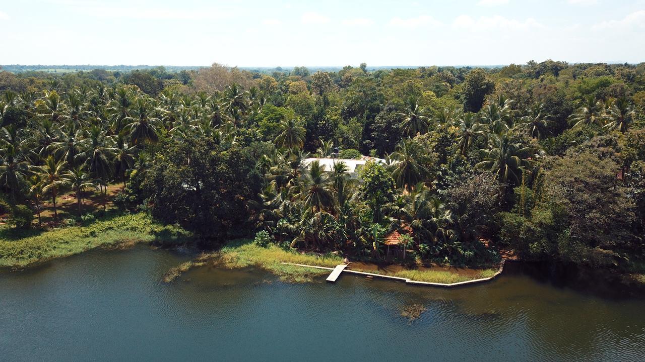Splendid Lake View Safari Lodge ウダワラウェ エクステリア 写真