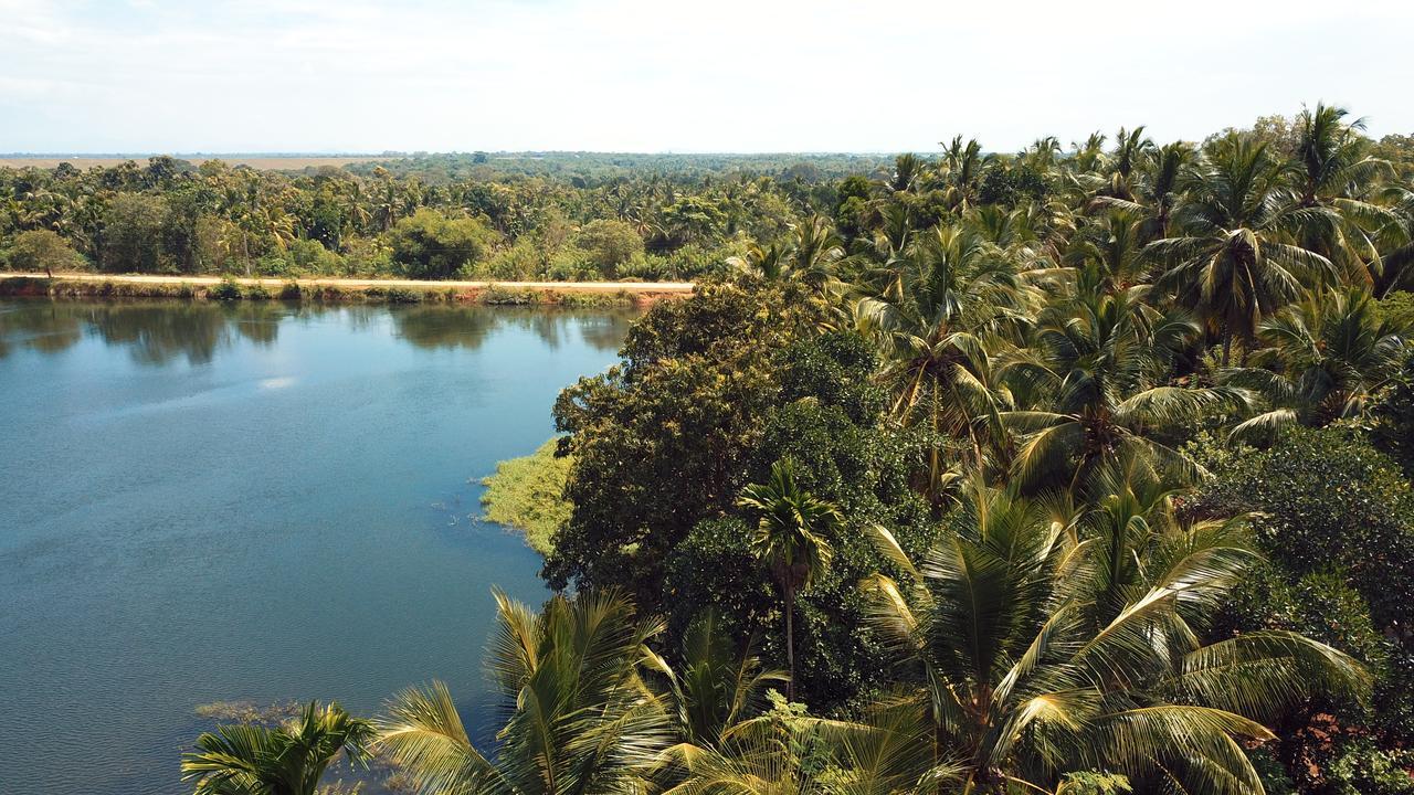 Splendid Lake View Safari Lodge ウダワラウェ エクステリア 写真