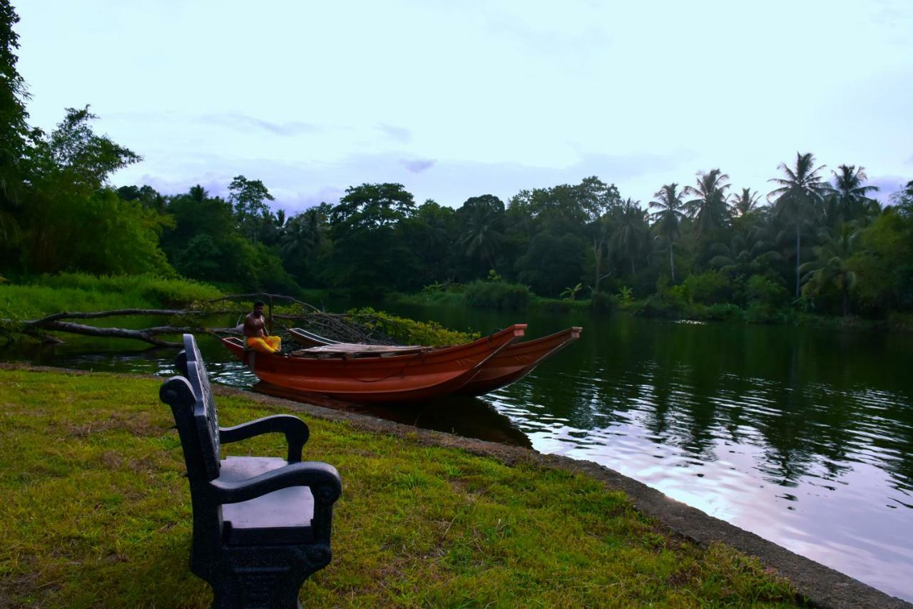Splendid Lake View Safari Lodge ウダワラウェ エクステリア 写真
